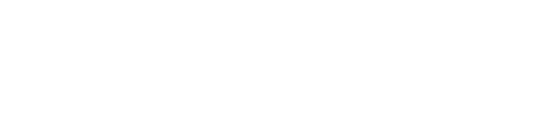 zkVerify client logo